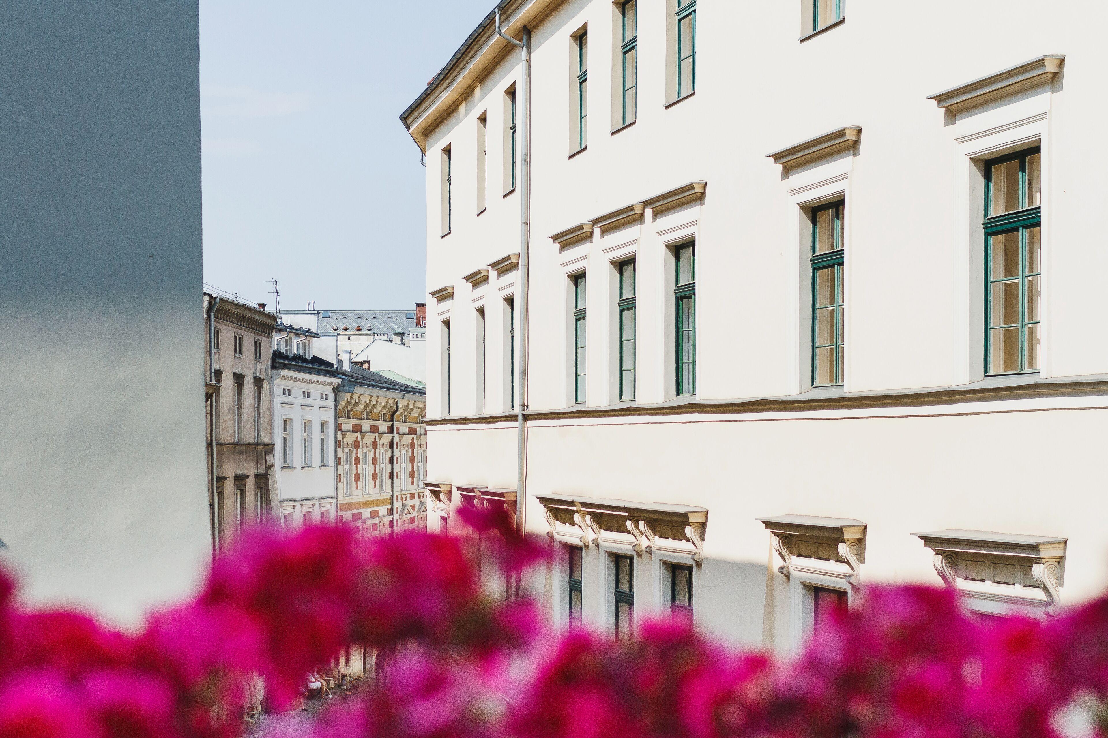 Apartamenty Bracka 6 — Bilder 2